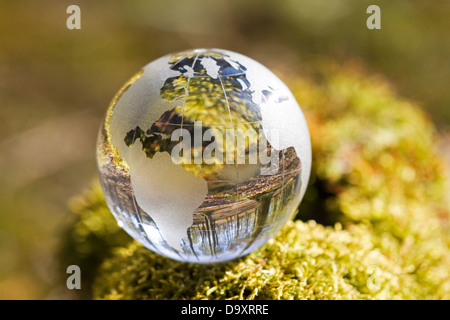 Crystal globe in forest Stock Photo