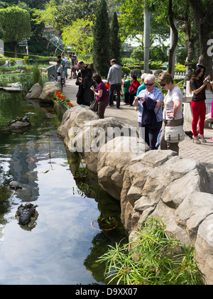 dh Hong Kong Park CENTRAL HONG KONG Woman tourists at Hong Kong Park lake photographing fish ponds holiday Stock Photo