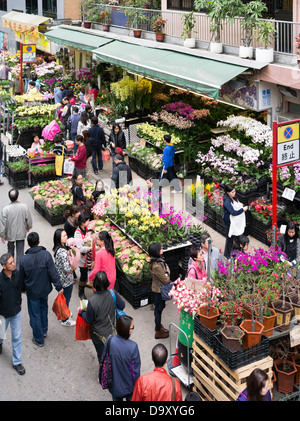 dh Flower Market MONG KOK HONG KONG People in street flower shops Chinese New Year flowers stalls mongkok china stall Stock Photo