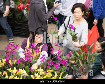 dh Flower Market MONG KOK HONG KONG Woman buying flower plant at stall Chinese New Year flowers shopping florist shop china Stock Photo