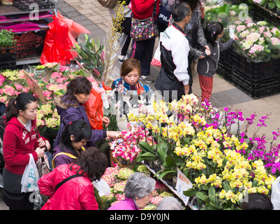 dh Flower Market MONG KOK HONG KONG Chinese women buying flowers at flower stall people shopping china Stock Photo