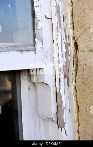 Window Palling Deteriorating timber window on domestic property extension in need of ...