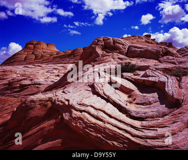 Intricate bedding pattern in wind eroded Navajo Sandstone; Paria Canyon-Vermilion Cliffs Wilderness; Utah Stock Photo