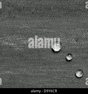 Three water drops on a leaf in black and white Stock Photo