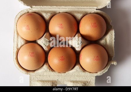 Waitrose freerange eggs Stock Photo