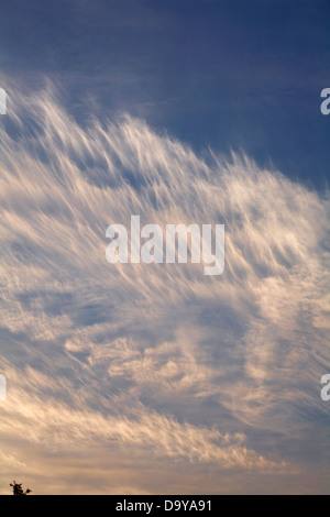 mares tail cirrus cloud cloudscape at Hengistbury Head, Dorset in June Stock Photo