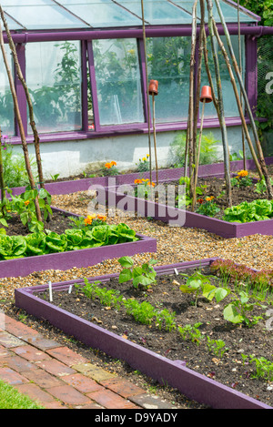 Early summer garden with brightly painted raised beds with shingle path, Norfolk, England, June. Stock Photo