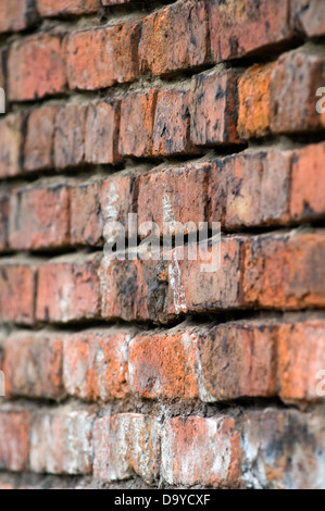 Close up of a brick wall Stock Photo