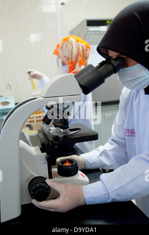 Quality control test being conducted in a laboratory, Brunei Stock Photo