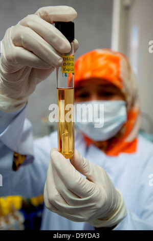 Quality control test being conducted in a laboratory, Brunei Stock Photo