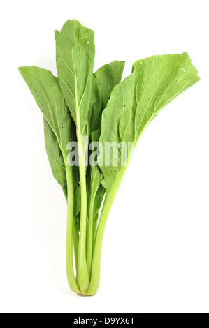 Bok choy isolated on white Stock Photo