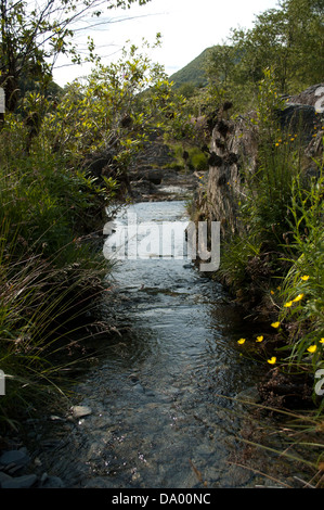 Following the River Rheidol as it flows past the mines and through the glorious Ceredigion countryside to Aberystwyth. Stock Photo