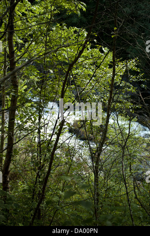 Following the River Rheidol as it flows past the mines and through the glorious Ceredigion countryside to Aberystwyth. Stock Photo