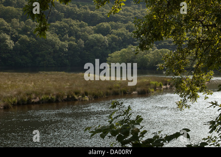 Following the River Rheidol as it flows past the mines and through the glorious Ceredigion countryside to Aberystwyth. Stock Photo