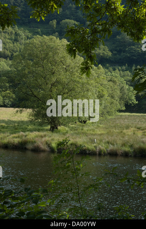 Following the River Rheidol as it flows past the mines and through the glorious Ceredigion countryside to Aberystwyth. Stock Photo