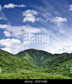 Summer landscape in the Smoky Mountains near Gatlinburg, Tennessee. Stock Photo