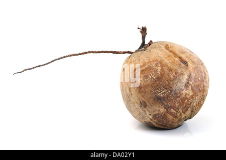 Coconut shell on white background Stock Photo