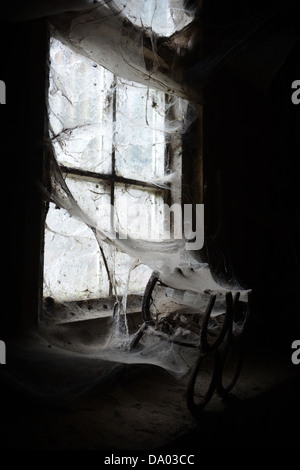 Thick cobwebs around window in old barn or stables Stock Photo
