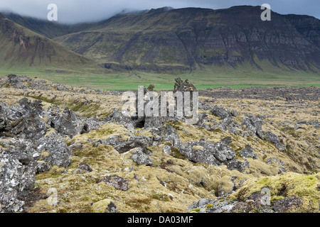 Lava pinnacles covered with long fringe-moss (Racomitrium elongatum) Iceland Europe Stock Photo
