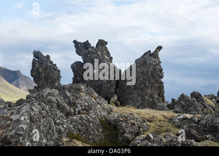Lava pinnacles covered with long fringe-moss (Racomitrium elongatum) Iceland Europe Stock Photo