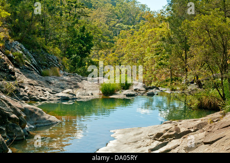 Cedar Creek, Mt Tamborine, Queensland, Australia Stock Photo