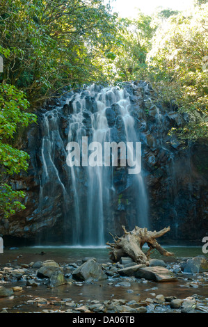 Ellinjaa Falls, Atherton Tablelands, Queensland, Australia Stock Photo