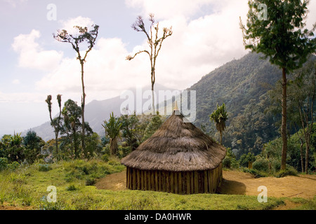 Dwelling, Papua New Guinea Stock Photo