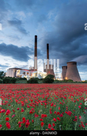 Poppy power, bright red flowers in a field (Ferrybridge, UK) Stock Photo