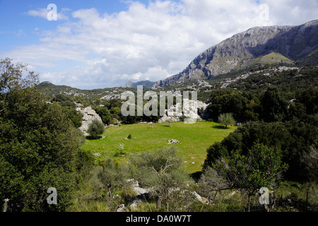 landscape between caimari and pollenca, mallorca, spain Stock Photo