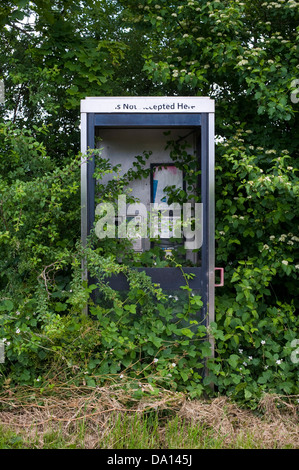 Overgrown rural BT telephone box on roadside in Herefordshire countryside England UK Stock Photo