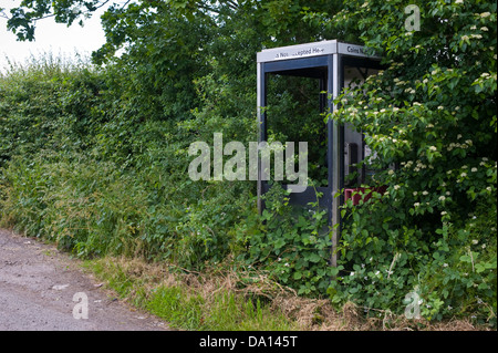 Overgrown rural BT telephone box on roadside in Herefordshire countryside England UK Stock Photo