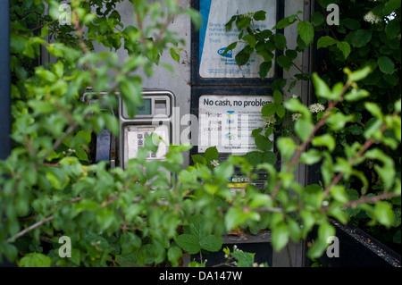 Overgrown rural BT telephone box on roadside in Herefordshire countryside England UK Stock Photo