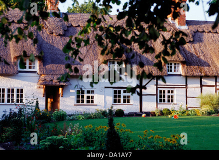 Thatched cottages in summer Wherwell Hants. England, UK Stock Photo