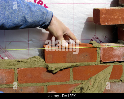 Builder cementing & building a brick wall with celotex thermal insulation board & cavity walls in an extension or new property Stock Photo
