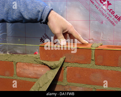 Builder cementing & building a brick wall with celotex thermal insulation board & cavity walls in an extension or new property Stock Photo