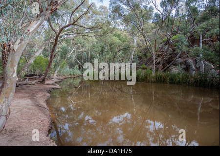 A billabong (water hole) near Wilpena Pound in the ruggedly beautiful Flinders Ranges in the Australian outback. Stock Photo