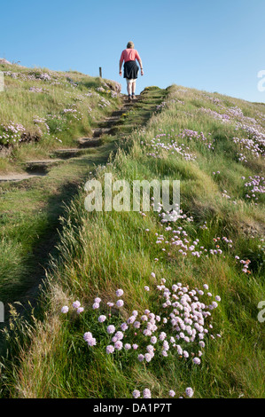 A woman walking the coast path past wild flowers North Cornwall UK near Porthcothan Stock Photo