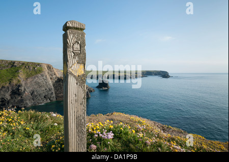 A sign for the Cornwall coast path North Cornwall UK near Porthcothan UK with views out to see and of dramatic scenery Stock Photo