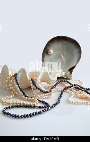 Shells and pearls. Stock Photo