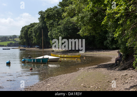 River Dart,creek,Stoke Gabriel,Farming in Devon,defra,the environment, rural development, the countryside, wildlife, animal welf Stock Photo