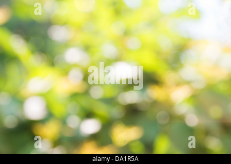 Natural blured green summer spring background horizontal Stock Photo