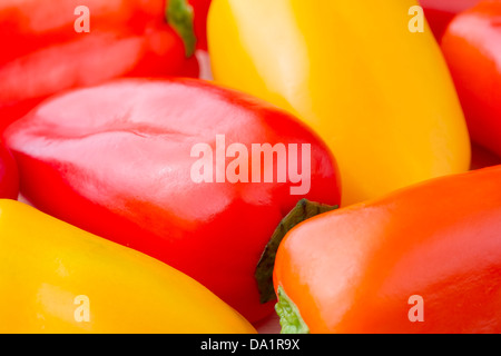 Close up image of Chiquino peppers