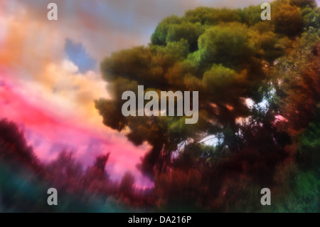 Trees and cloudy sky abstract blurry forest landscape through painted glass. Stock Photo