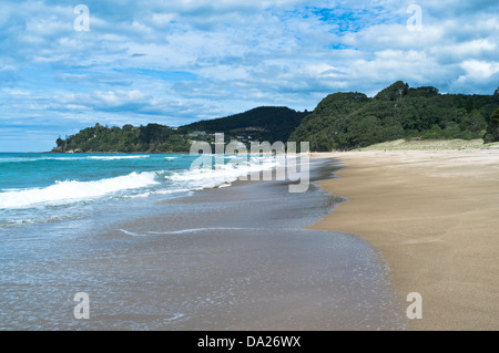 dh Hot Water Bay COROMANDEL NEW ZEALAND Waves on sandy beach peninsula coast Stock Photo