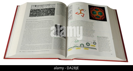 Molecular Biology of the Cell medical textbook Stock Photo