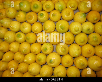 Citrus, lemons and limes in the supermarket. Stock Photo