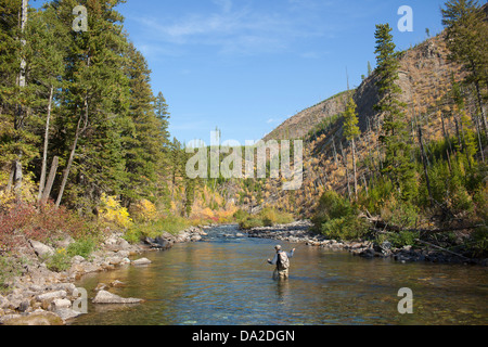 USA, Montana, North Fork, Blackfoot River, Fisherman wading in river Stock Photo