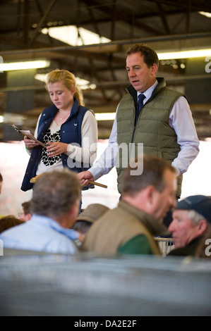 Poultry auction at monthly farmers market in Malton Ryedale North Yorkshire England UK Stock Photo