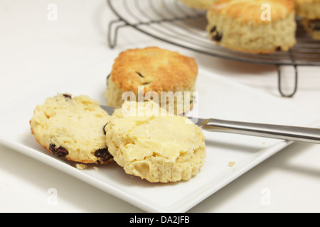 Freshly-baked fruit scones, with one on a plate cut open and buttered. Stock Photo