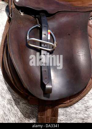 Saddle on a horse, UK 2013 Stock Photo